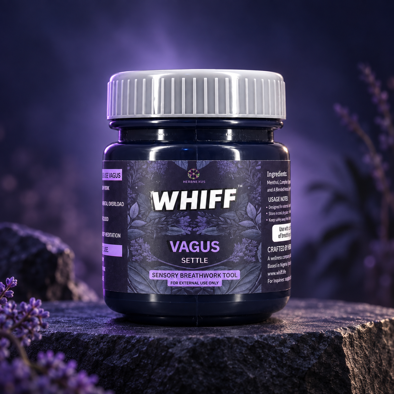 VAGUS in its use environment